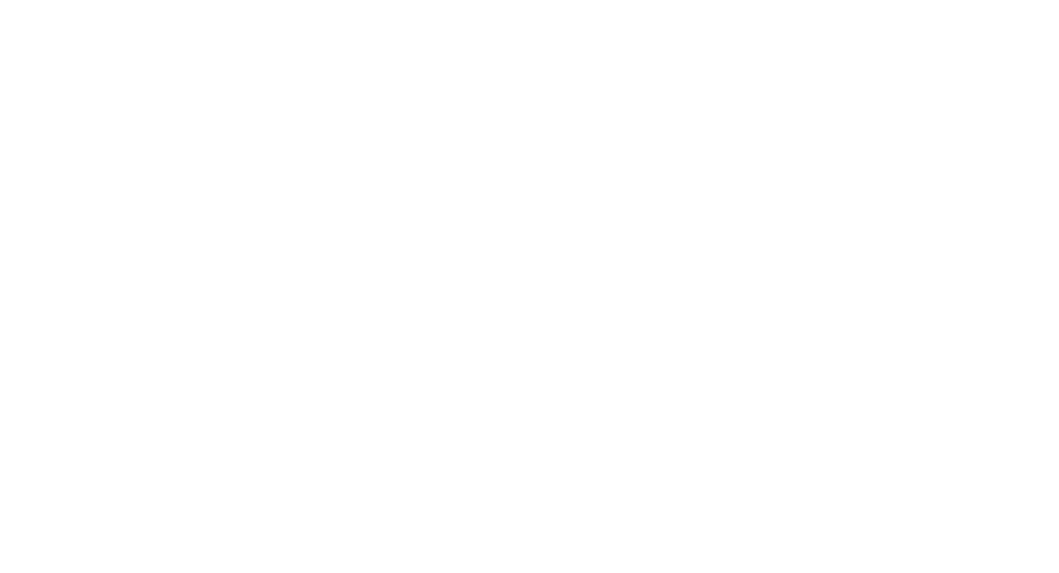 Kost Team Logo_WHITE